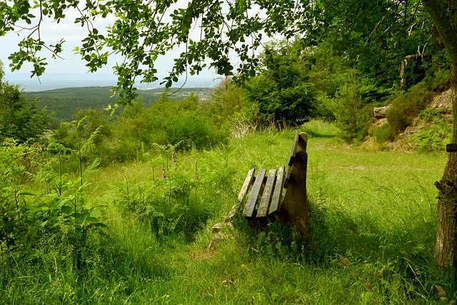 杜兰特关键中投，全场掌声雷动